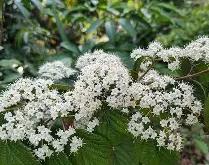 关于鮗蒾炩?gku??阖%:s的信息-爱游戏ayx平台